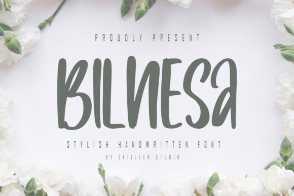 Bilnesa: A Bold Display Font That Elevates Real Business Branding