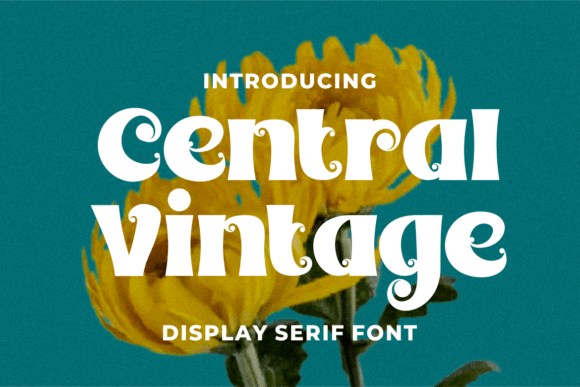Central Vintage: A Display Font That Anchors Campaign Energy